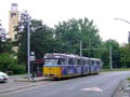 FVV tzv. Bengl 24. 7. 2008