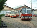 Historické autobusy připravené před muzeem MHD na výjezd - 130. let MHD 17. 9. 2005