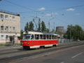 Bval koick vz u vozovny Darnica 13. 8. 2019