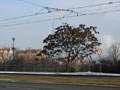 Zatím co auta zde mohou zrychlit na 70Km/hod, tramvaje musí zpomalit na 30 km/hod 23. 1. 2011