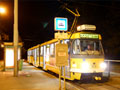 Poslední tramvaj na konečné Bory ležící na okraji Borského parku 30. 6. 2019