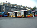 Autobusy, v čele Solaris č. 494 - Den otevřených dveří - 17. 6. 2006