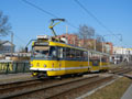 K3R-NT č. 313 na Borech 18. 3. 2025