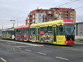 Souprava 363+336 na Borech 15. 12. 2021