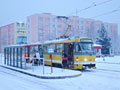 Souprava 262+263 v nové zastávce Habrmannova 12. 2. 2009, foto: Vladimír_B