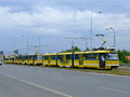 Největší kolona tramvají (aby nepřekážely sanitkám na Klatovské třídě) se vytvořila poblíž zastávky Pod Záhorskem 24. 6. 2008