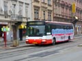 Autobus náhradní dopravy v zastávce Anglické nábřeží 14. 11. 2009