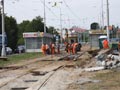 Přeložený kaliforňan u lékařské fakulty 2. 8. 2009