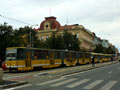 Kolona tramvají na Klatovské třídě v době zastavení provozu 11. 9. 2013