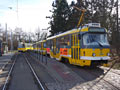 Tramvaje odstavené na Borech 4. 3. 2017