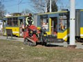 Výsadba trávníků 4. 4. 2021