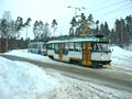 Wana . 46 na konen Lidov Sady 30. 10. 2005