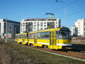 Souprava 260+196 u zastávky Technická 14. 1. 2022
