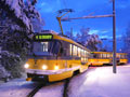 Souprava 319+254 na konečné v Bolevci 4. 2. 2018