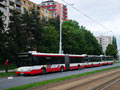 29. 5. 2019