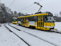 Wana č. 316 na Košutce 9. 1. 2026